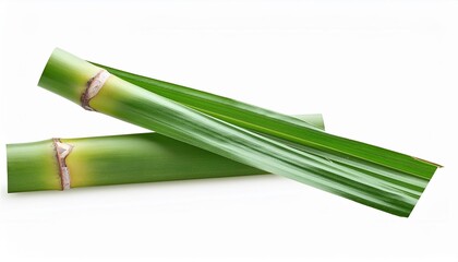 Fototapeta premium sugar cane leave on transparent picture background