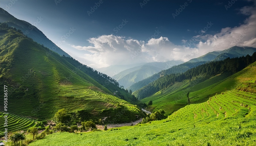 Canvas Prints landscape of green amazing valley in uttrakhand