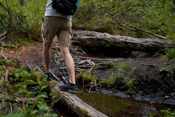 A man with a backpack sits backwards on an old dry log in the forest overlooking a mountain lake.