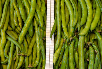 Two boxes of fresh green beans
