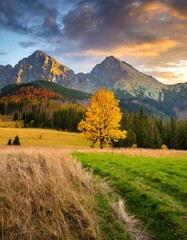 Beautiful autumn evening on a pasture under rocky mountains with a wild forest, a beautiful yellow tree in the middle of a meadow and a colorful dramatic sky. High tatras NP, Poland, Slovakia