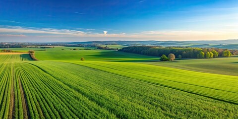 Fototapeta premium Grass fields stretching into the horizon in Langen, Hessen, Germany, meadow, green, countryside, nature, rural, landscape