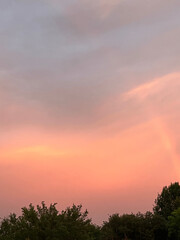 sunset in the forest