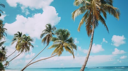 Palm trees swaying in the breeze on a tropical beach