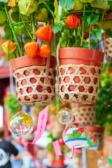 【浅草の夏の風物詩】四万六千日・浅草ほおずき市