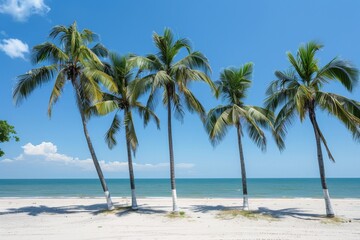 Vibrant Verano palm trees swaying gracefully on a pristine beach in Mexico under the warm sunlight, evoking a sense of tropical paradise and serene relaxation.