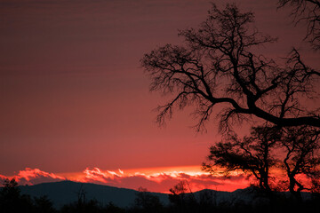 A burning sunset on the mountain with tree silhouettes