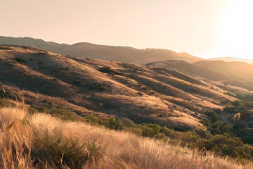 Golden hour light over rolling hills and gentle slopes of grassland.