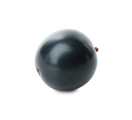 One fresh ripe blackcurrant isolated on white