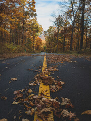 A Road Leading to Nowhere 