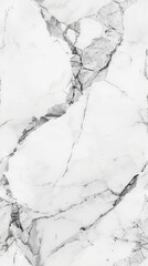 Obraz premium Smooth white marble with striking dark veining creates a refined surface