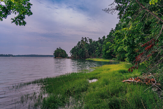 Coastline Marsh 