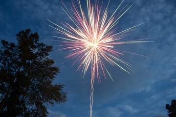 fireworks in the sky