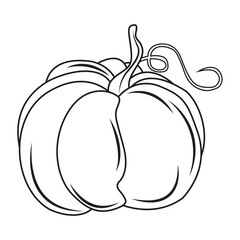 Vector illustration of pumpkin line art for digital element or coloring book. Pumpkin vegetable outline autumn. Thanksgiving Day illustration with pumpkin vegetable composition. Simple vector banner