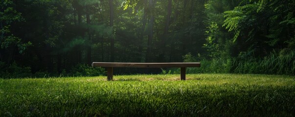 Obraz premium Wooden bench in a lush green park, perfect for relaxation and contemplation.