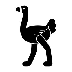 ostrich Solid icon