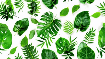 Fototapeta premium These include elements like leaves, trees, and natural landscapes. 