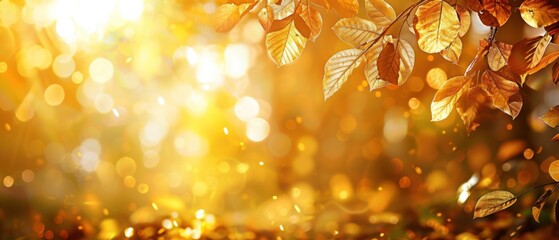 Golden autumn leaves with sunlight shining through, creating a bokeh effect, capturing the beauty of fall.