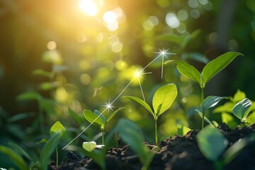 Obraz premium Growth and Success: Young Saplings Reaching for the Sunlight