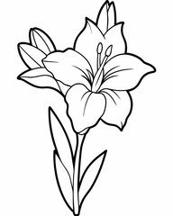 Line art of Gladiolus flower 
