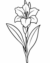 Line art of Gladiolus flower 