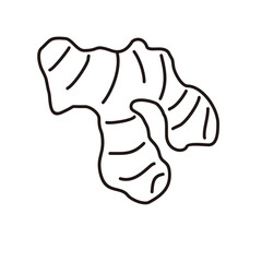 Ginger Outline Style Doodle