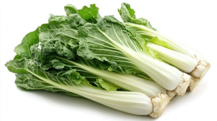 Romain Lettuce isolated on white