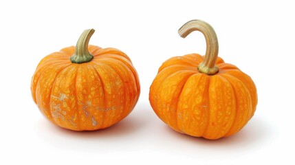 Obraz premium Whole mini pumpkin isolated on white