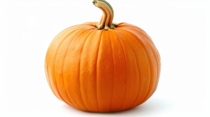 Obraz premium Whole mini pumpkin isolated on white