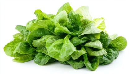 Romain Lettuce isolated on white