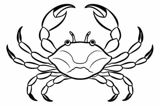 recommend clip art: Sea crab line art vector design