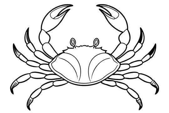 recommend clip art: Sea crab line art vector design