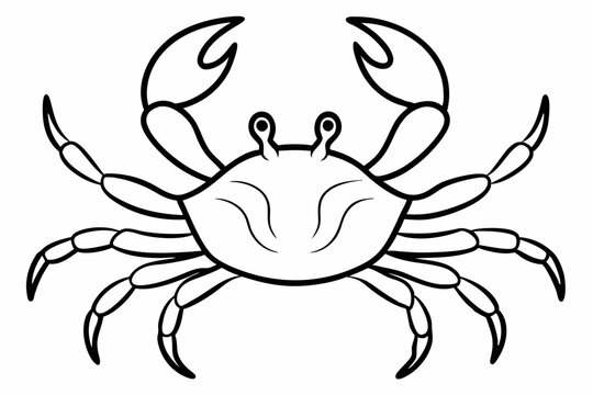 recommend clip art: Sea crab line art vector design