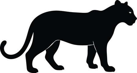 Black panther silhouette vector illustration 