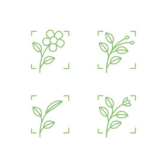 flowers plant photograph line simple set icon design vector