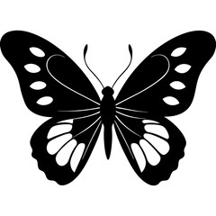 Butterfly silhouette vector illustration on a white background