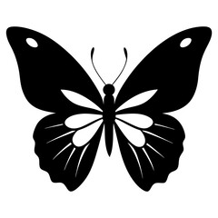 Butterfly silhouette vector illustration on a white background