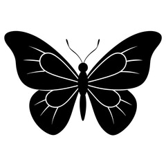 Butterfly silhouette vector illustration on a white background
