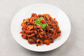 Octopus is a mollusk of the octopus family. It is similar to an octopus, but its body is about 20 to 30 cm long, short and round.