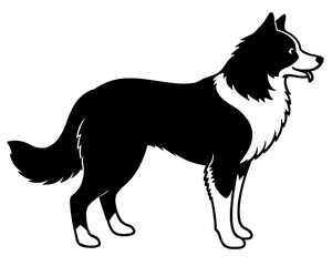 Simple Border Collier a side full body silhouette vector illustration