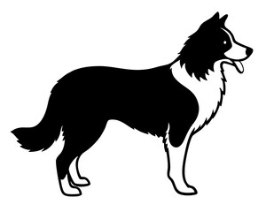 Simple Border Collier a side full body silhouette vector illustration