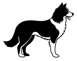 Simple Border Collier a side full body silhouette vector illustration