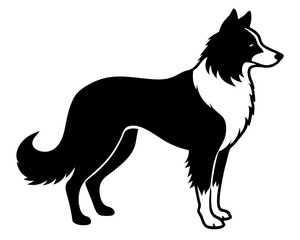 Simple Border Collier a side full body silhouette vector illustration