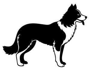 Simple Border Collier a side full body silhouette vector illustration