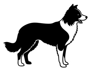 Simple Border Collier a side full body silhouette vector illustration