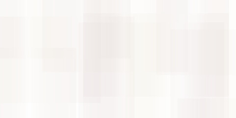 White triangular gradient texture background. Abstract modern white and gray technology concept geometric line. vector background lines geomatics retro pattern of triangle shape.