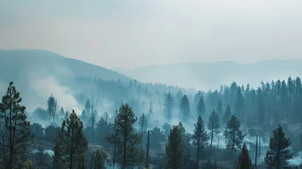 Poster The thick smoke from wildfires poses a serious threat to both people and wildlife