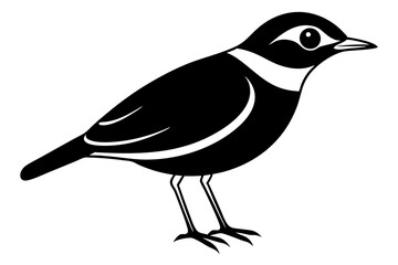 illustration of a bird silhouette vector