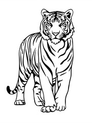Obraz premium Tiger line art illustration, coloring page 
