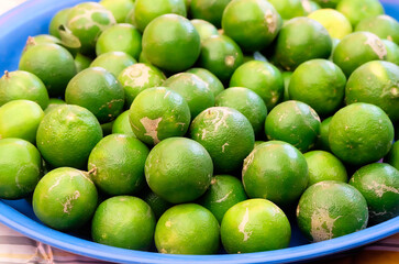Fresh limes in the farm garden.